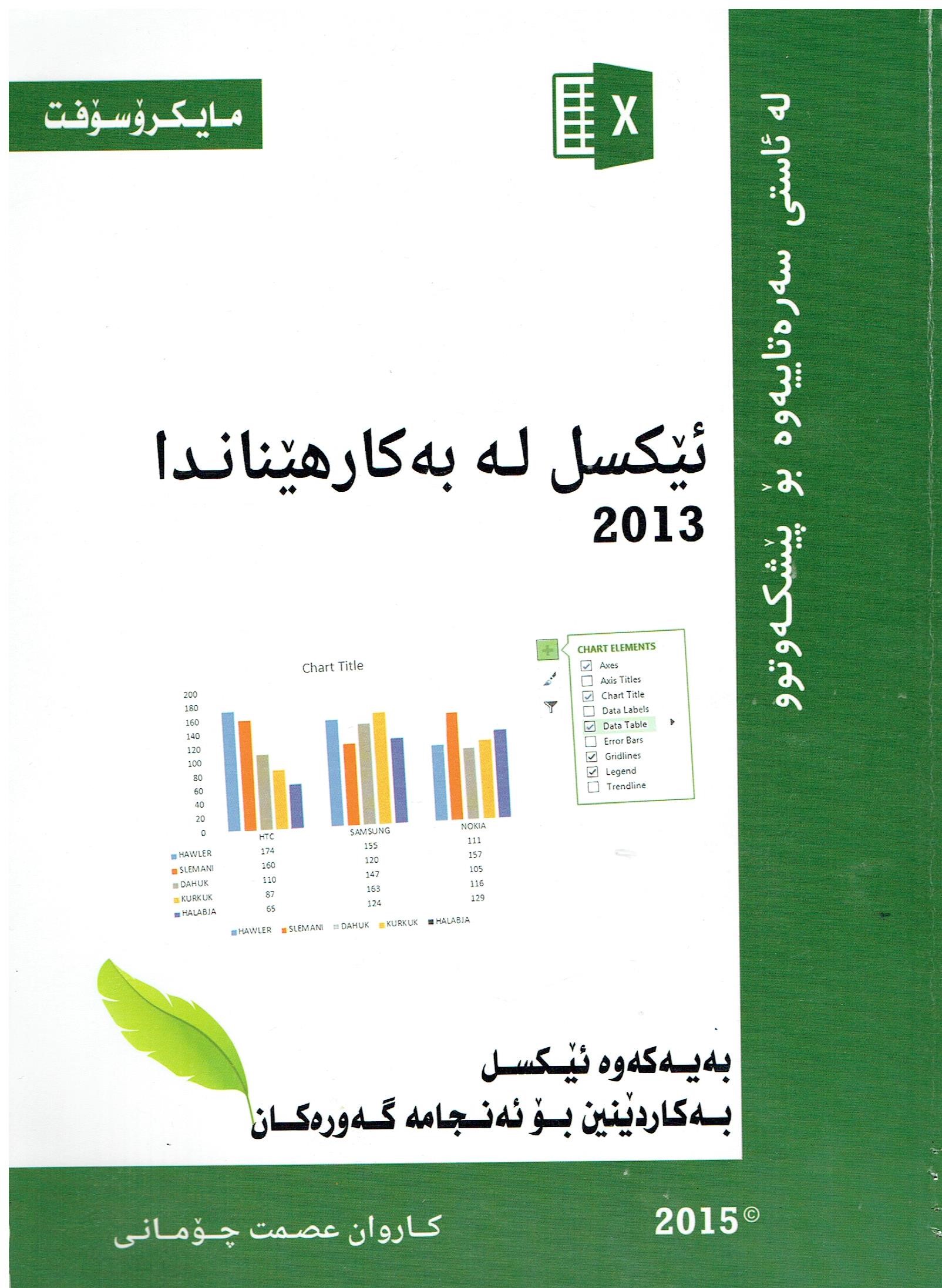 ئیکسل لەبەکارهیناندا ٢٠١٣